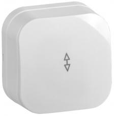 Выключатель 1-кл. с инд. о/у 10А ВС20-1-1-ХБ белый IEK GLORY (EVH11-K01-10). Выключатель. IEK