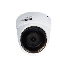 CO-RD21Pv2. Видеокамера IP купольная. ComOnyx