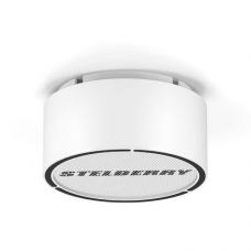 F-250W. Громкоговоритель потолочный. STELBERRY