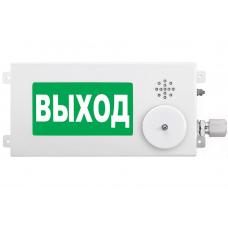 ТСВ-Exm-М-Прометей-МИНИ 220В ВЫХОД. Оповещатель охранно-пожарный световой взрывозащищенный (табло). Спектрон НПО